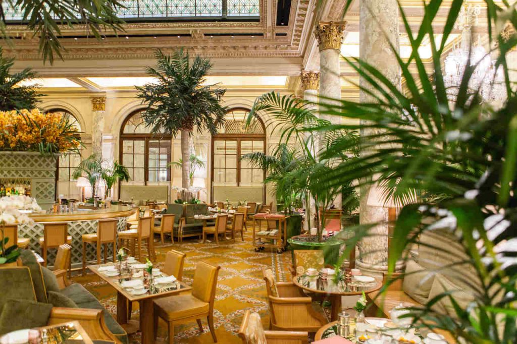 The Palm Court, no The Plaza Hotel