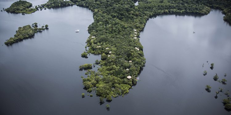 Motivos para visitar amazônia
