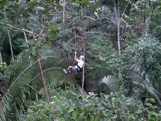 aventura escalar árvores Amazônia
