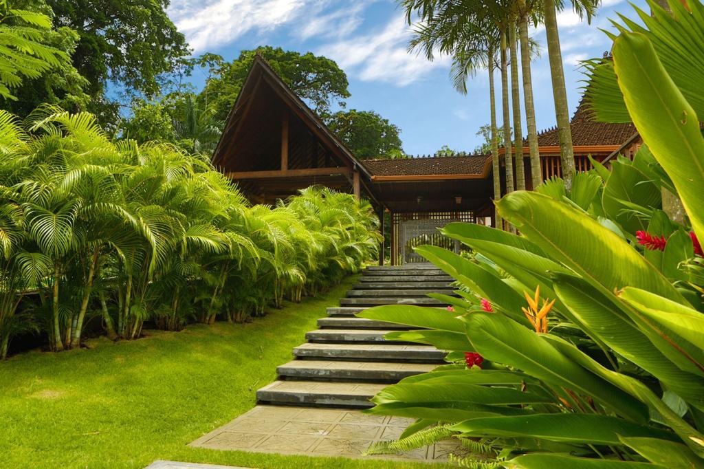 Natureza hotel caribe