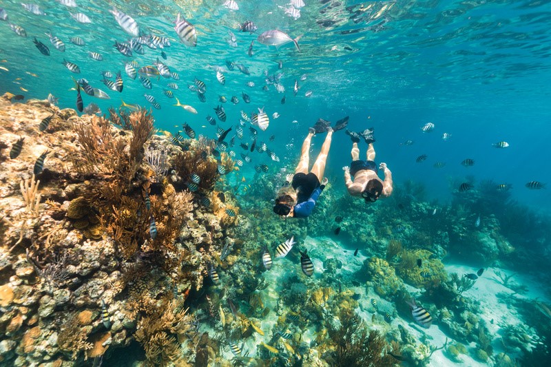 Mergulho Bahamas