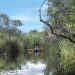 Florida - Natureza