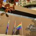 LGBT+ Turismo Expo