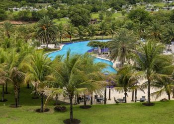 Piscina e palmeiras resort