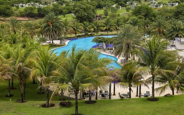 Piscina e palmeiras resort