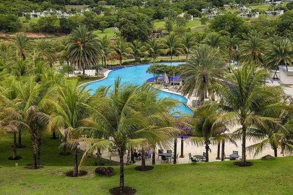 Piscina e palmeiras resort