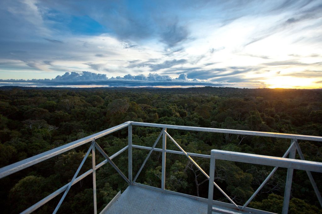Vista torres Cristalino Lounge