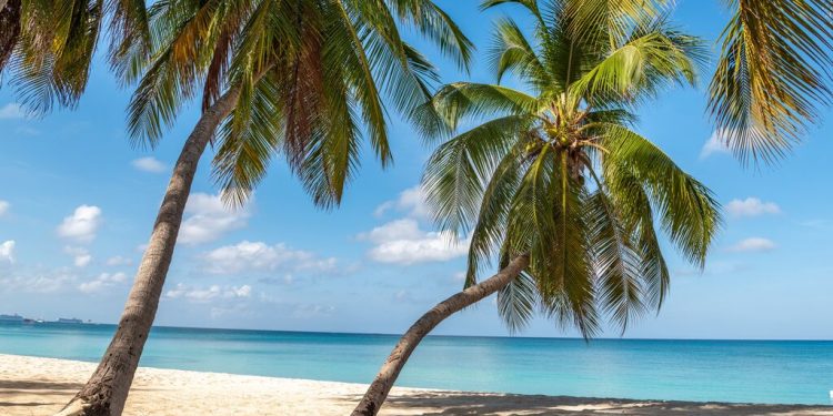 ilhas Cayman