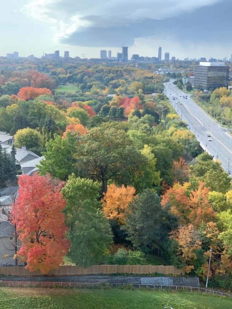 Outnono toronto