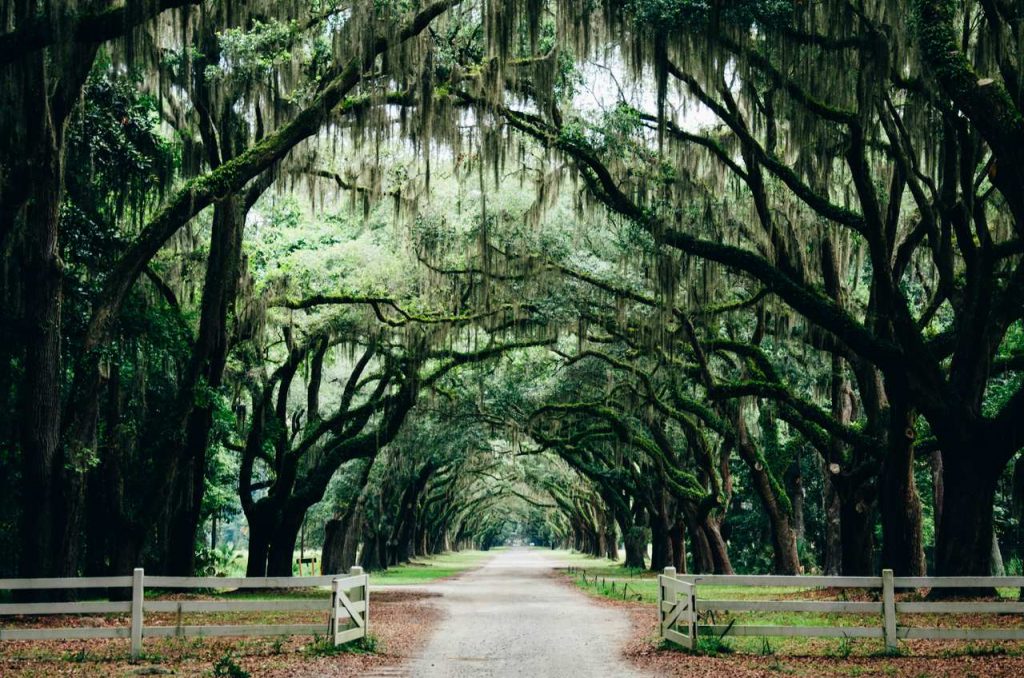 Savannah - USA