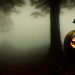 Halloween Floresta