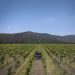 Vinícola Matetic, Vale do Rosário, Chile