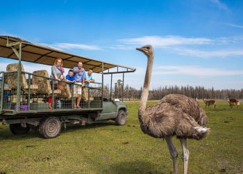 Safari Wilderness Ranch