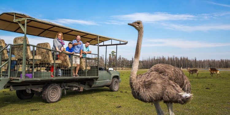 Safari Wilderness Ranch