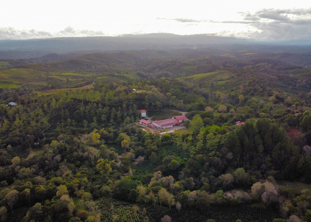 Fazenda Café Eleta