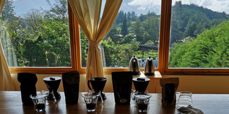Finca Janson, Café, Panamá
