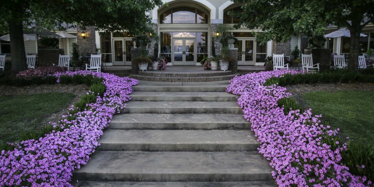 Cypress Bend Resort, na Louisiana