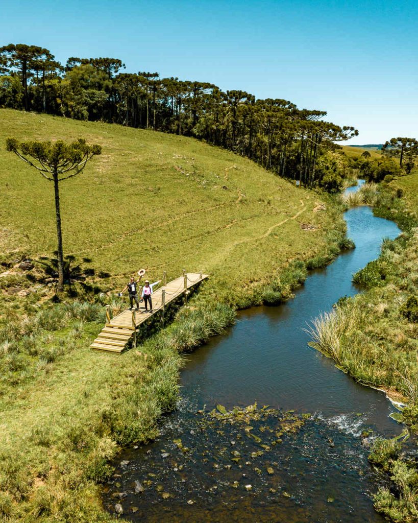 Vista parcial da Trilha das Araucárias, dentro do Parador