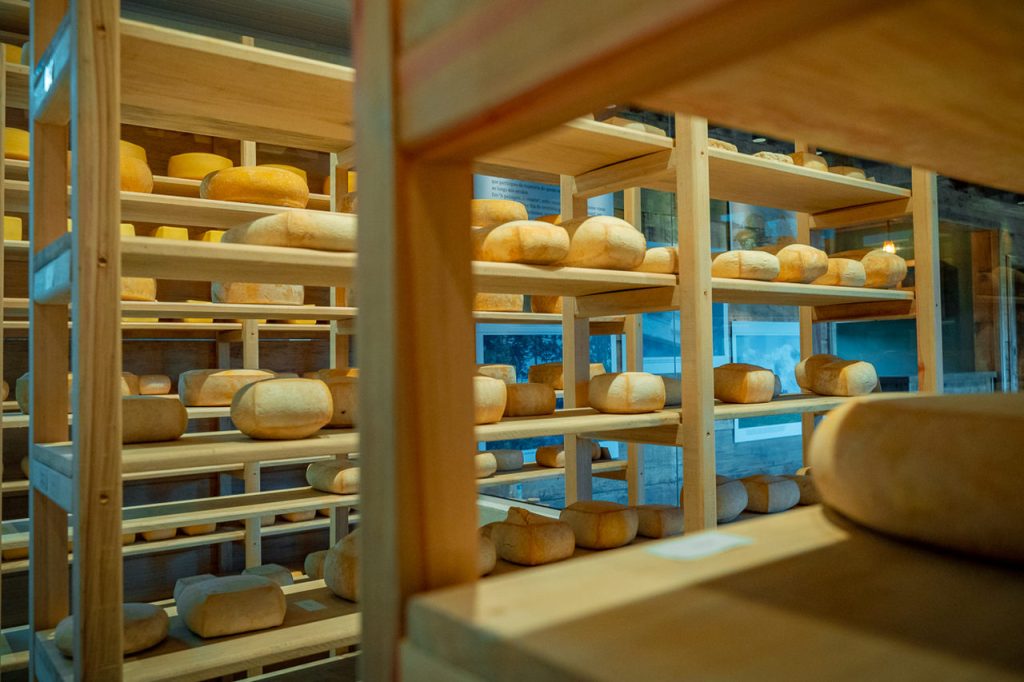 Sala de afinagem e maturação dos queijos serranos