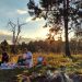 Toriba Family Experience