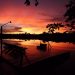 Juma Amazon Lodge - Amazônia