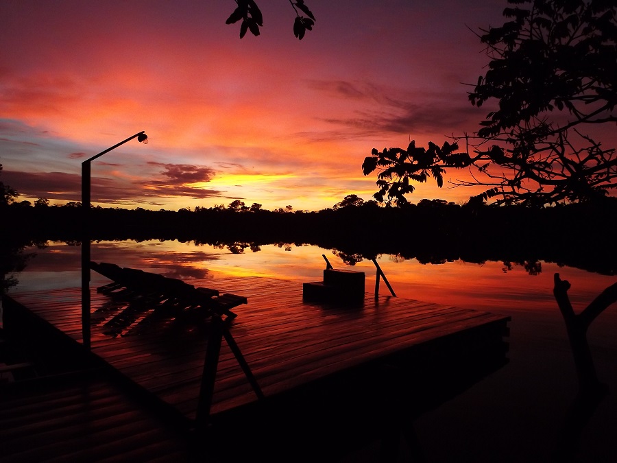 Juma Amazon Lodge - Amazônia