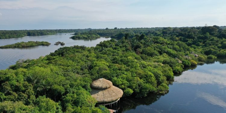 Juma Amazon Lodge - Restaurante