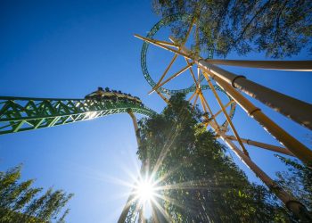 Cheetah Hunt