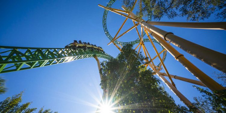 Cheetah Hunt