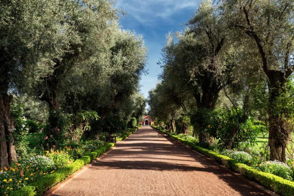 La Mam Marrakech - Jardins da Entrada