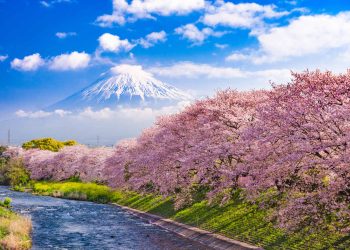 Monte Fuji