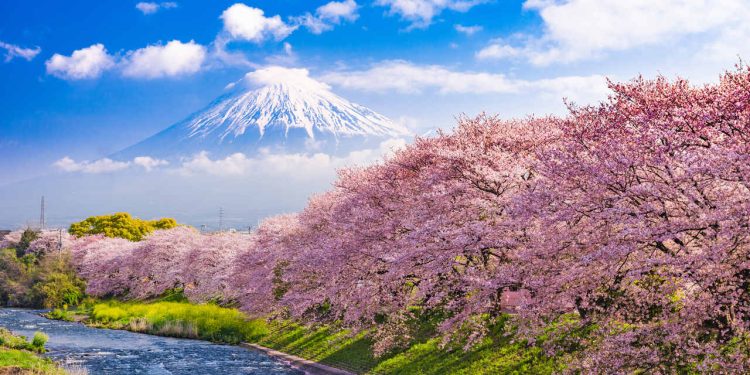 Monte Fuji