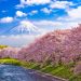 Monte Fuji