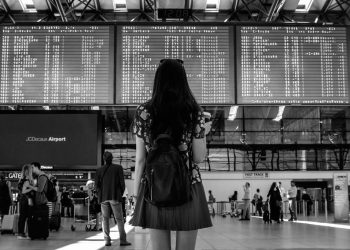 Importância agentes de viagem