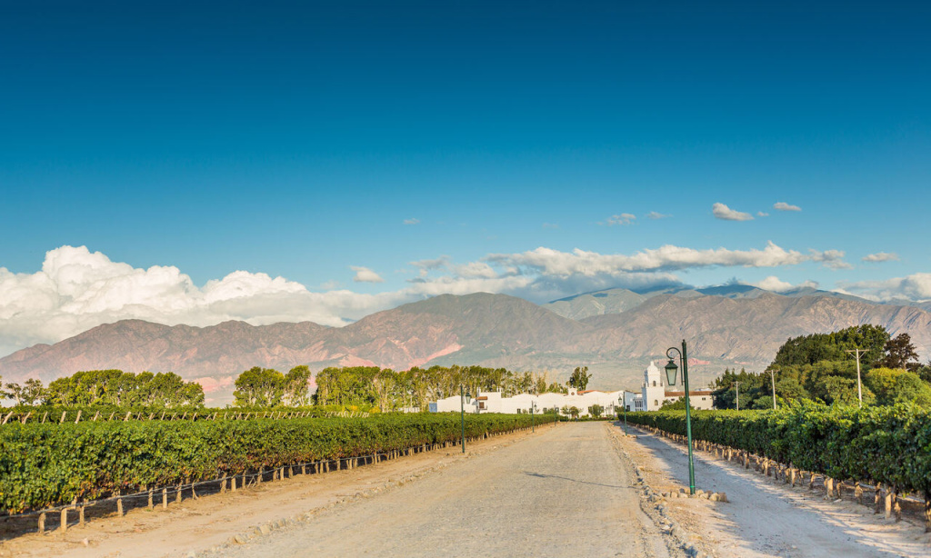Ruta del Vino de Altura