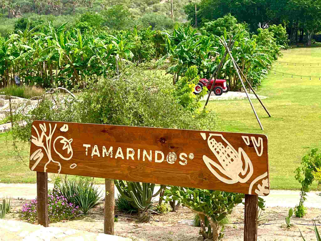 Tamarindos Fazenda