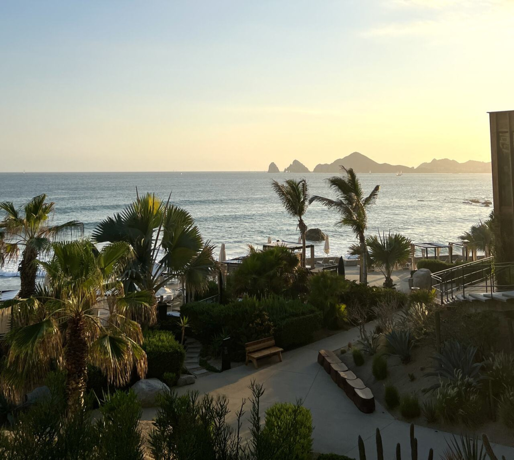 The Cape Hotel