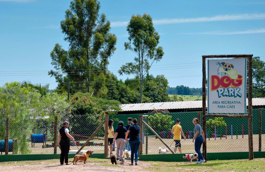Dog-Park-no-Brotas-Eco-Hotel-Fazenda