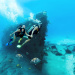 Bahamas BMOTIA-windsong-gallery