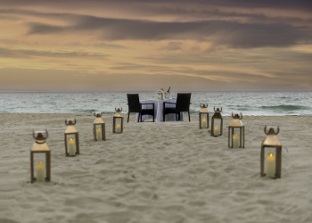 Dinner under the Stars