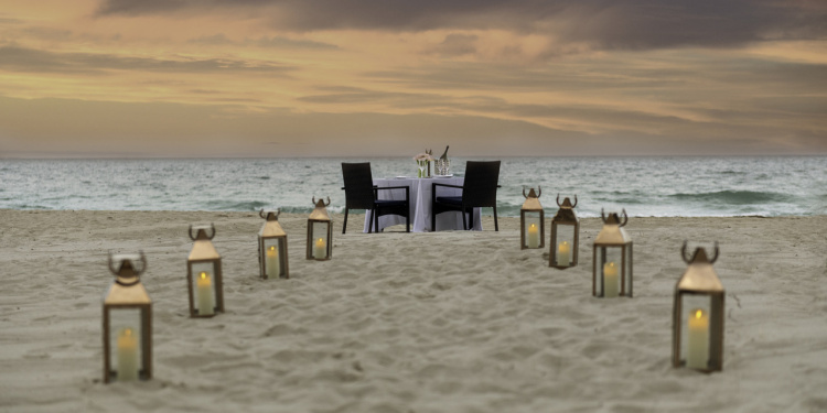 Dinner under the Stars