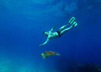 Mergulhos em Fernando de Noronha