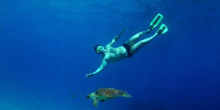 Mergulhos em Fernando de Noronha