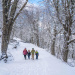 Nevasca Bariloche