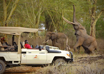 Finch Hattons Luxury Safari Camp
