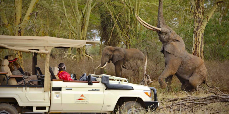 Finch Hattons Luxury Safari Camp