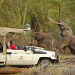 Finch Hattons Luxury Safari Camp