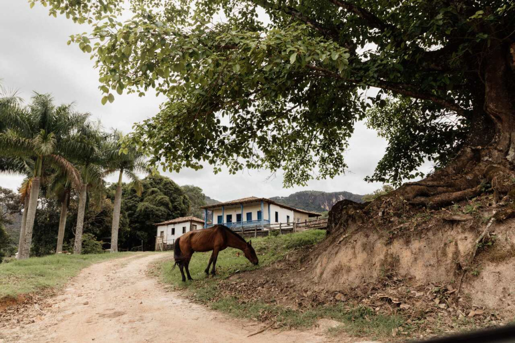 Minas Gerais