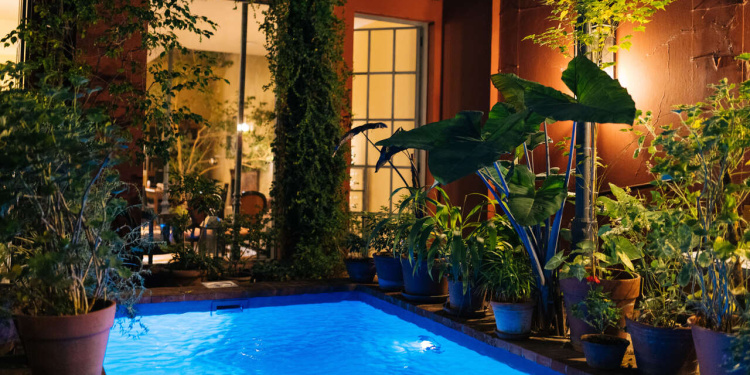 Jardín Escondido by Coppola
