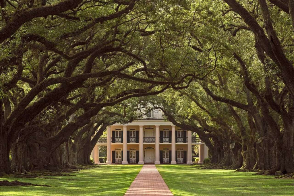 Oak Alley Plantation